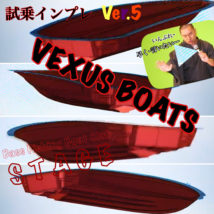 VEXUS VX20