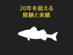 20年を超える経験と実績