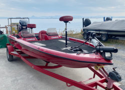 1998年 CHAMPION 203