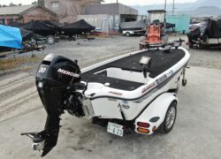 琵琶湖中古バスボートサウザー395 | バスフィッシングボート