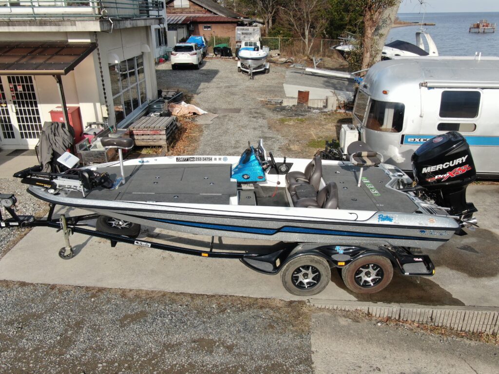 Bass Cat Pantera Classic