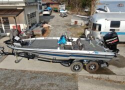 Bass Cat Pantera Classic