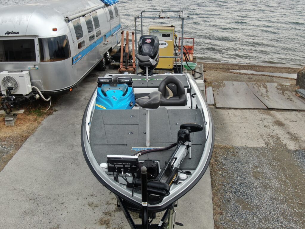 Bass Cat Pantera Classic