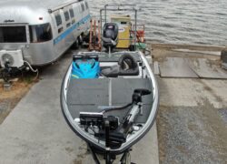 Bass Cat Pantera Classic