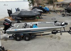 Bass Cat Pantera Classic