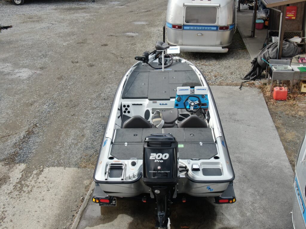 Bass Cat Pantera Classic