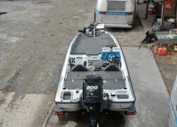 Bass Cat Pantera Classic