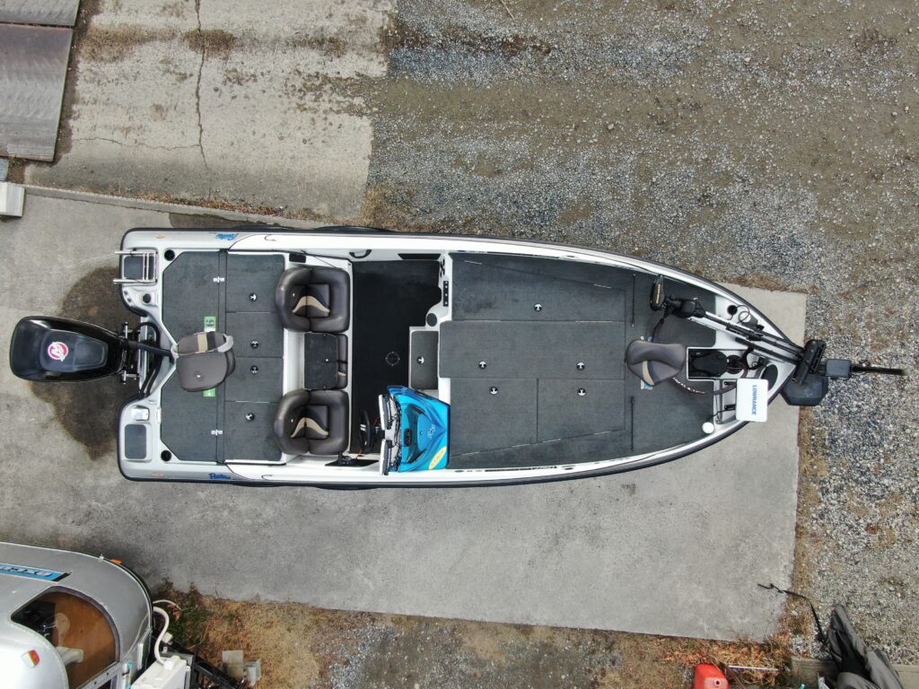 Bass Cat Pantera Classic