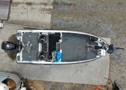 Bass Cat Pantera Classic