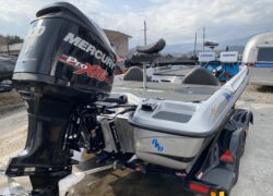 Bass Cat Pantera Classic