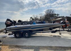 Bass Cat Pantera Classic