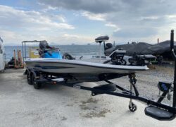 Bass Cat Pantera Classic