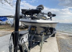 Bass Cat Pantera Classic