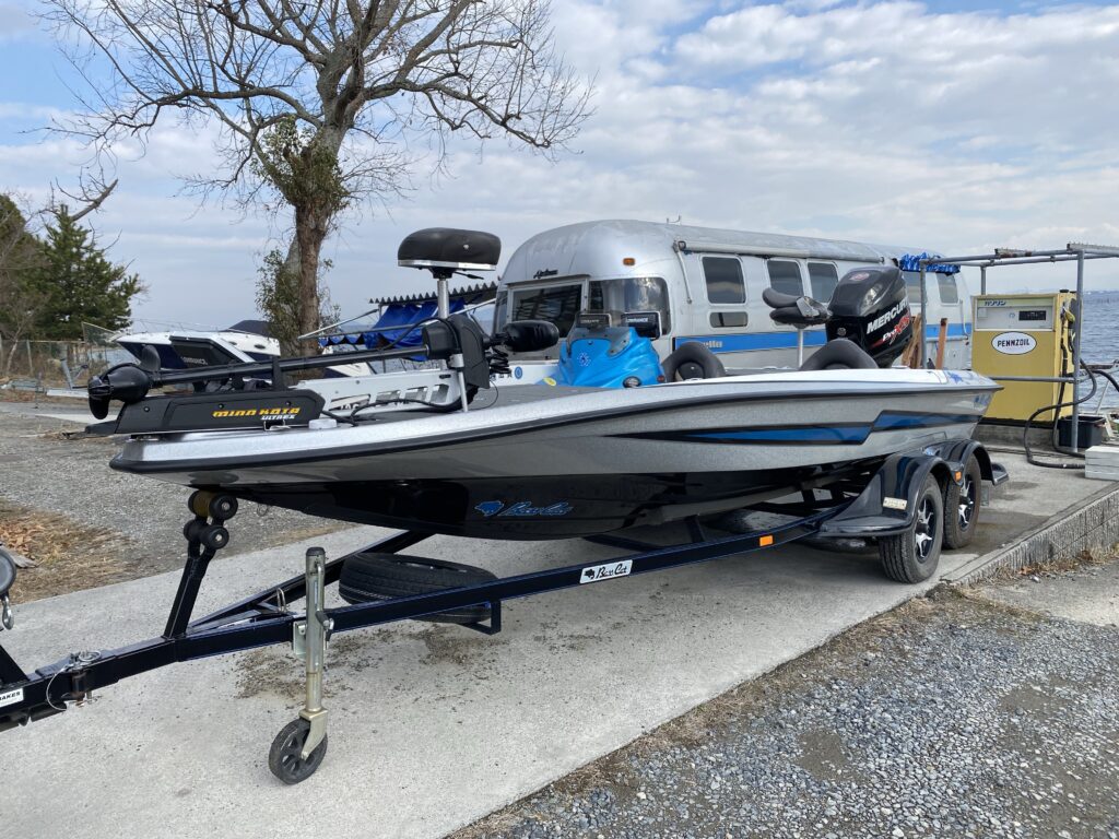 Bass Cat Pantera Classic