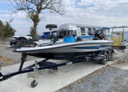 Bass Cat Pantera Classic