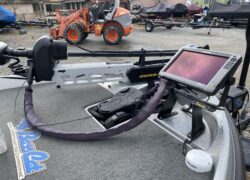 Bass Cat Pantera Classic